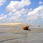 saudade-e_2-livia-terenzi-alfonsi