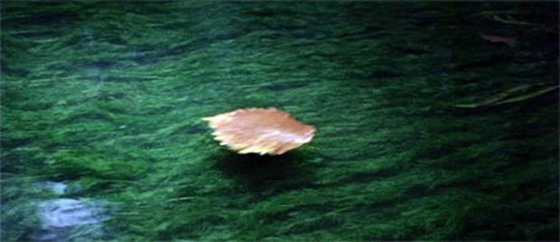 Tarkovskij3