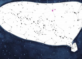 Coccodrilli dal cilindro racconti