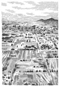 ferriera116