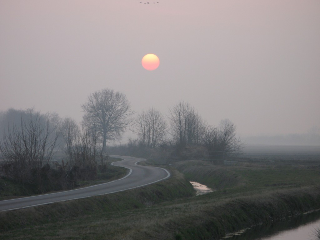 nebbia-padana-3227cbd1-d05f-4786-8c14-25206d644650