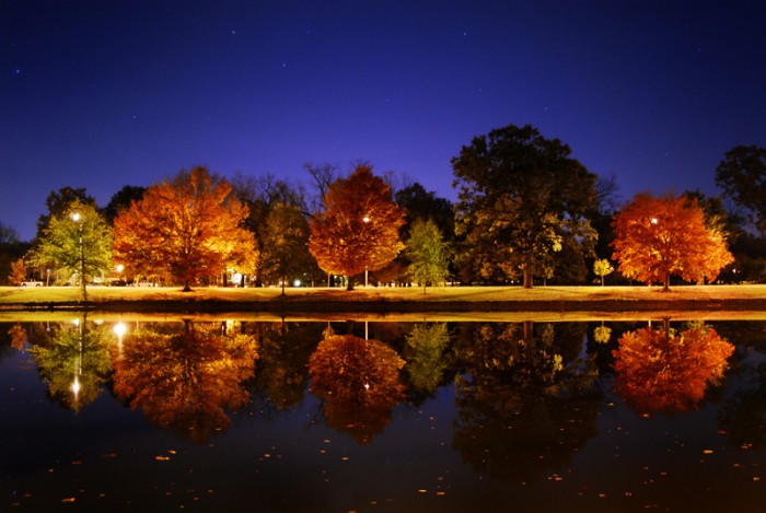 notte d'autunno