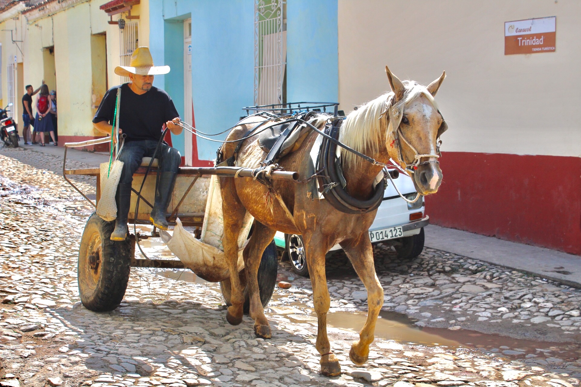 caballo cuba