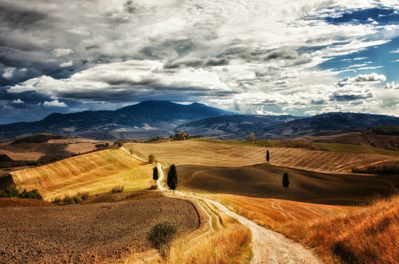 caminante no hay camino