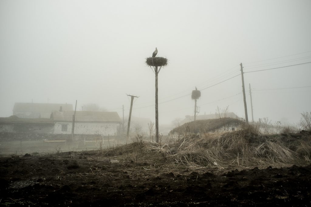 The Doukhobors' Land (1), by Natela Grigalashvili
