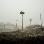 The Doukhobors’ Land (1)