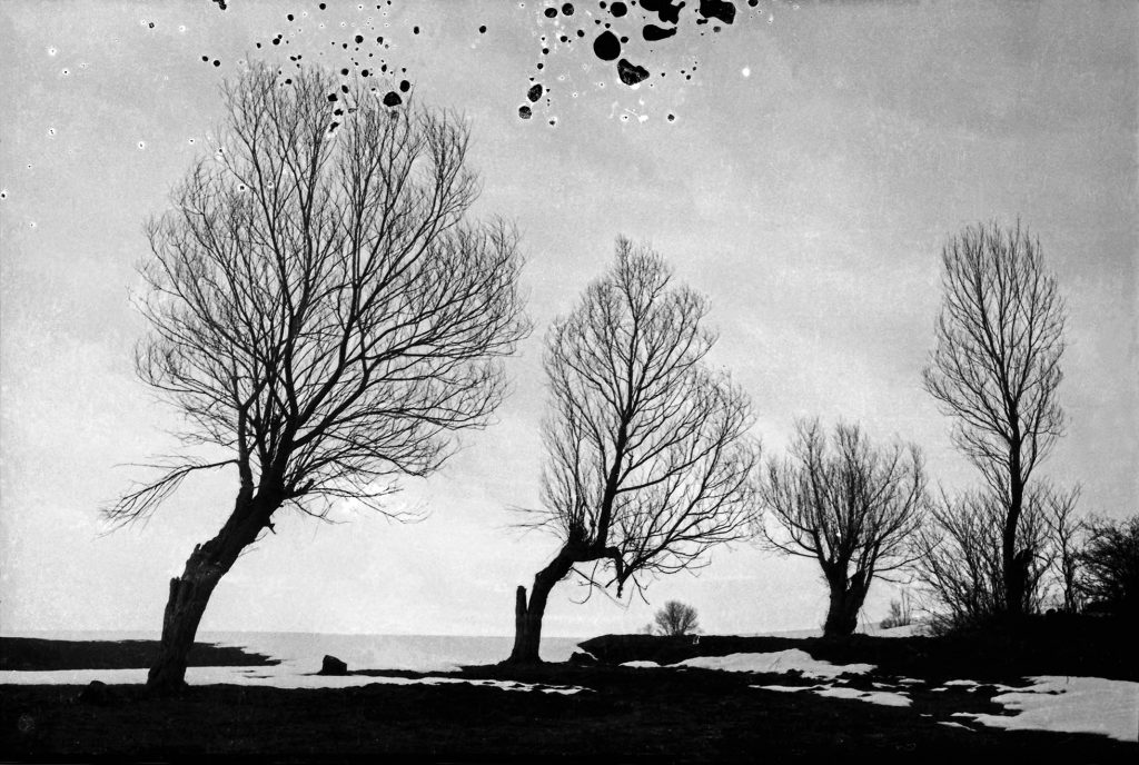 Village of the Mice (1), by Natela Grigalashvili