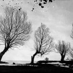 Village of the Mice (1)