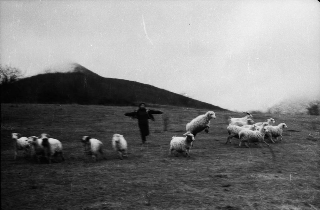 Village of the Mice (5), by Natela Grigalashvili