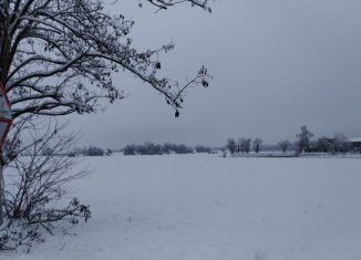 La neve e i Red House Painters