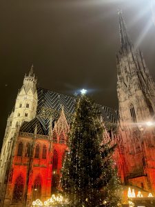 Vienna a Natale
